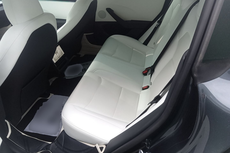 Tesla Model 3 2024 #17 Tesla Model 3 2024 car image #17