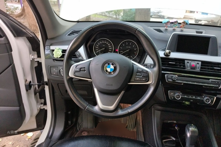 BMW X1 2017 immagine di auto #12