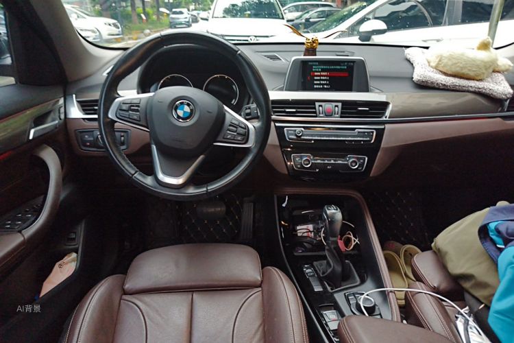 BMW X1 2018 car image #11