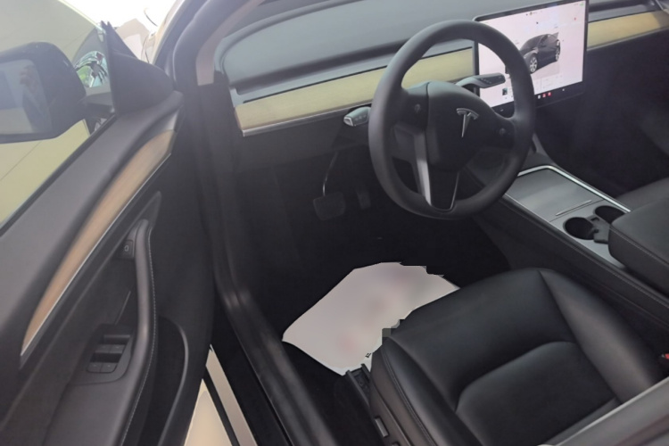Tesla Model Y 2023 immagine di auto #16