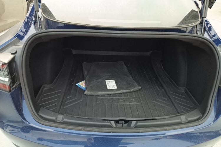 Tesla Model 3 2020 #19 Tesla Model 3 2020 car image #19