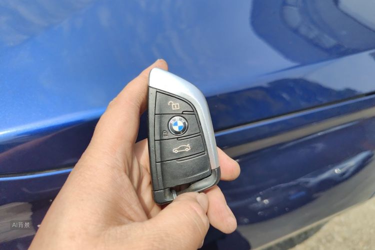 BMW X1 2019 car image #10