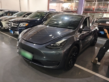 Tesla Model Y 2021 Tesla Model Y 2021 car image