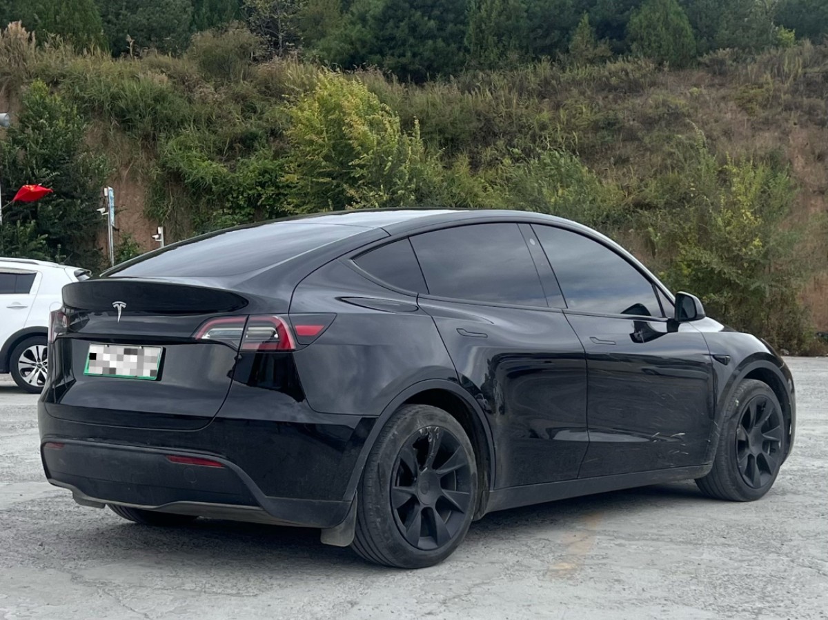Tesla Model Y 2023 #9 Tesla Model Y 2023 car image #9