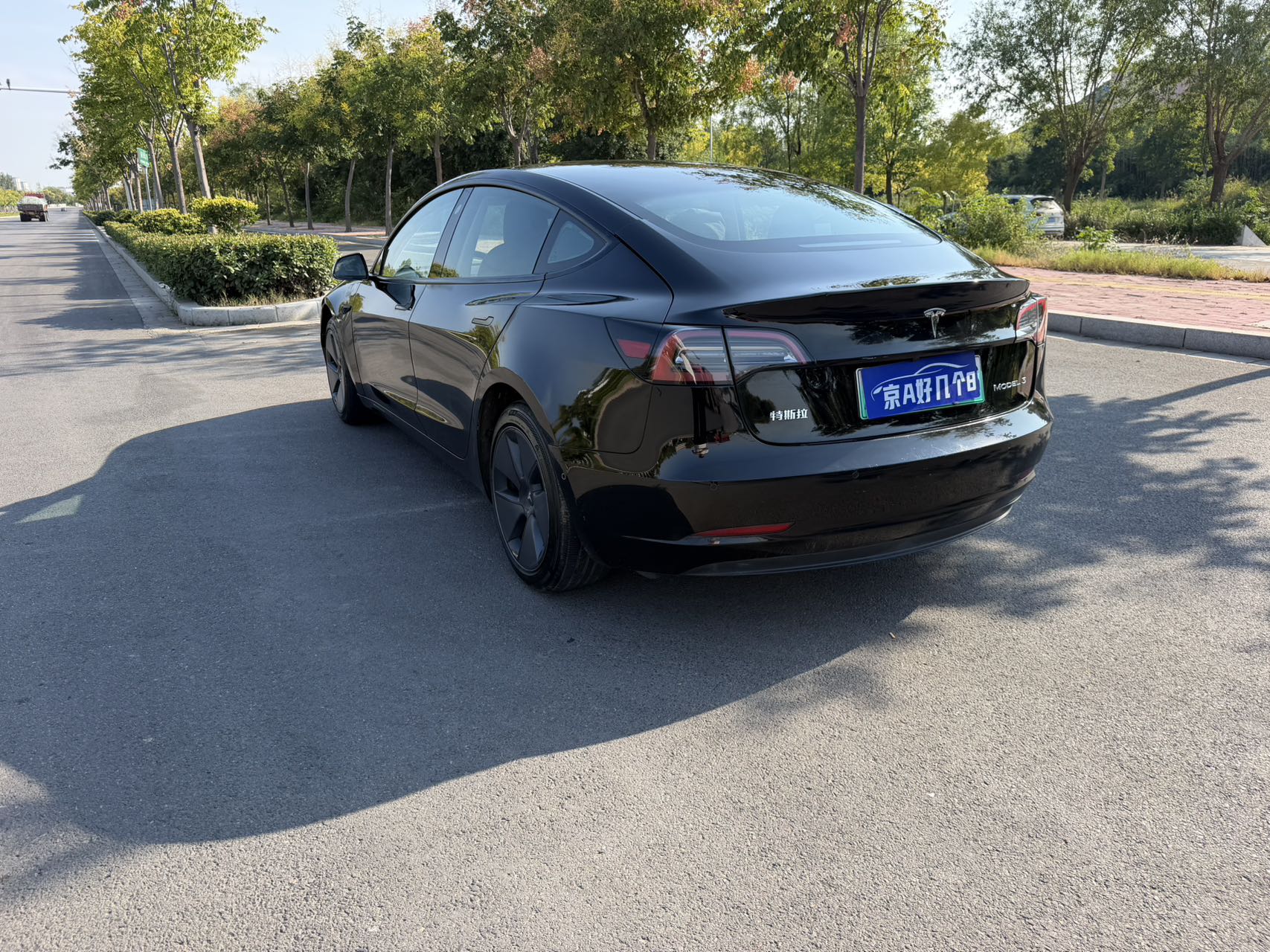 Tesla Model 3 2022 immagine di auto #5