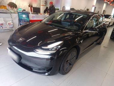 Tesla Model 3 2021 Tesla Model 3 2021 car image