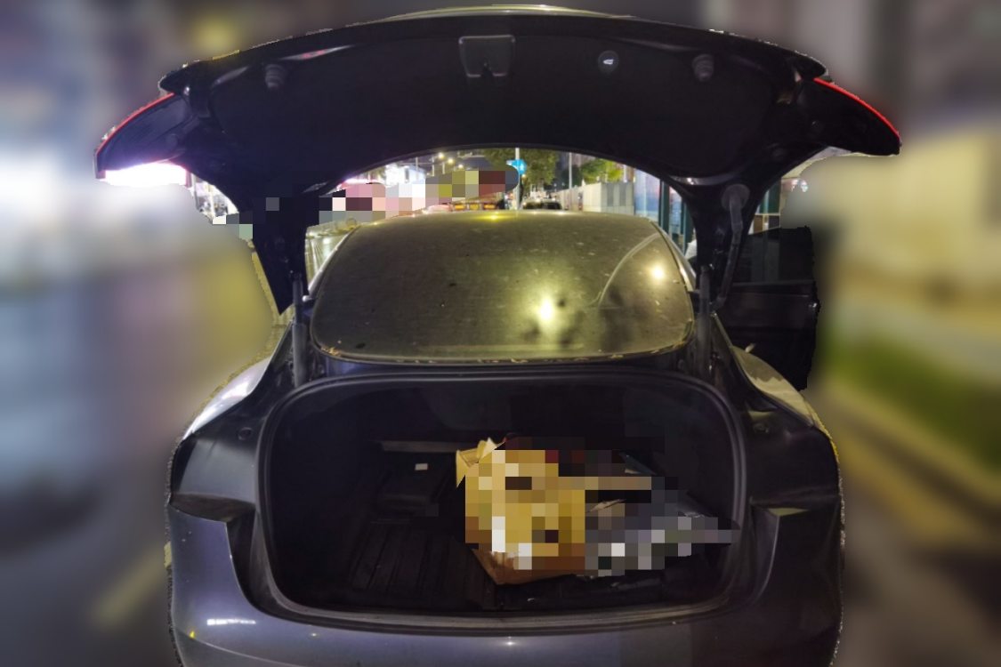 Tesla Model 3 2025 #8 Tesla Model 3 2025 car image #8
