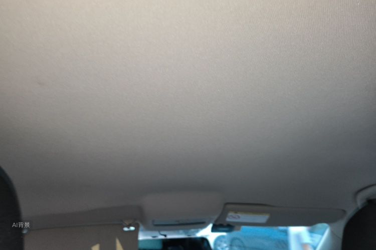 Volkswagen Polo 2016 car image #20