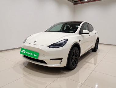 Tesla Model Y 2023 Tesla Model Y 2023 car image