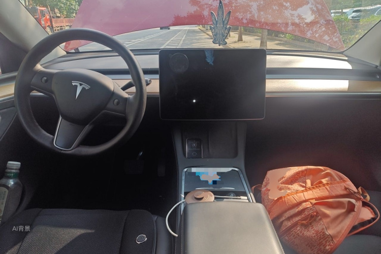 Tesla Model Y 2021 car image #11