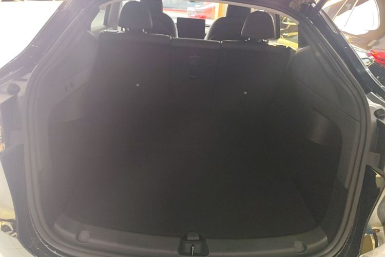 Tesla Model Y 2023 #21 Tesla Model Y 2023 immagine di auto #21