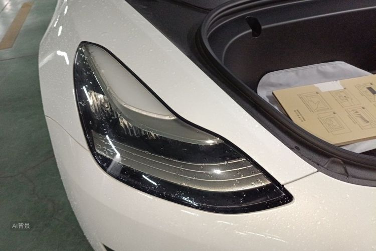 Tesla Model 3 2020 imagem de carro #8