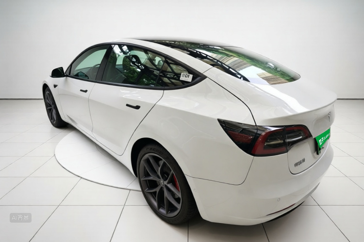 Tesla Model 3 2021 #5 Tesla Model 3 2021 car image #5
