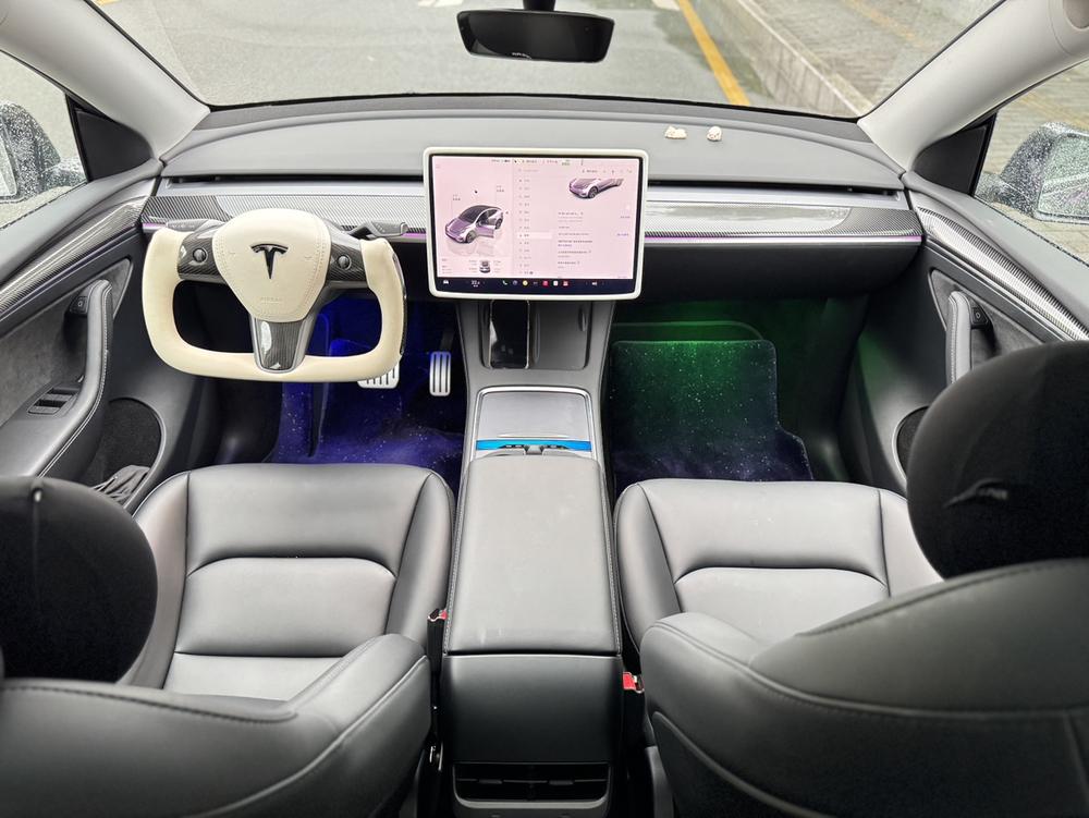 Tesla Model Y 2024 car image #16