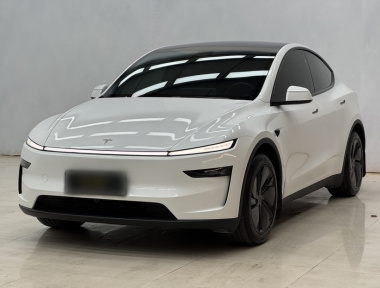Tesla Model Y 2025 car image 