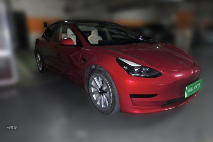Tesla Model 3 2021 car image #4