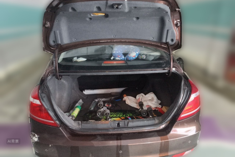 GEELY Emgrand 2016 car image #21