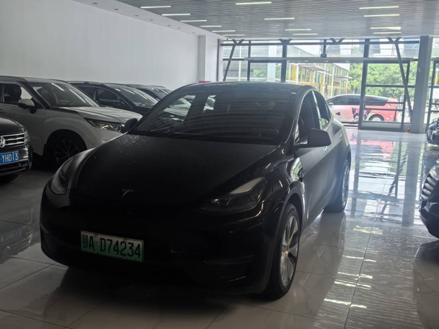 Tesla Model Y 2023 Tesla Model Y 2023 car image