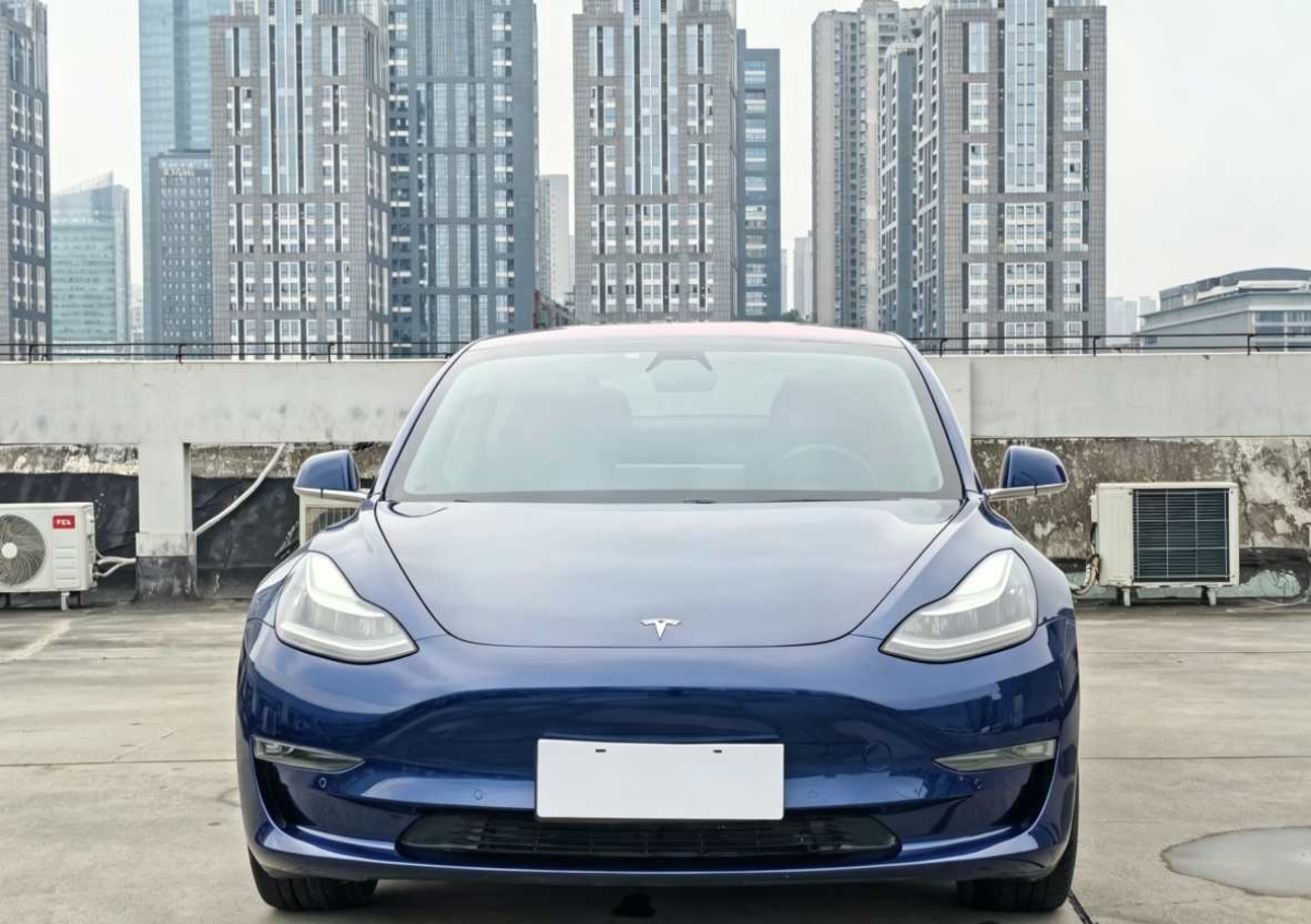 Tesla Model 3 (Imported) 2019 car image #3