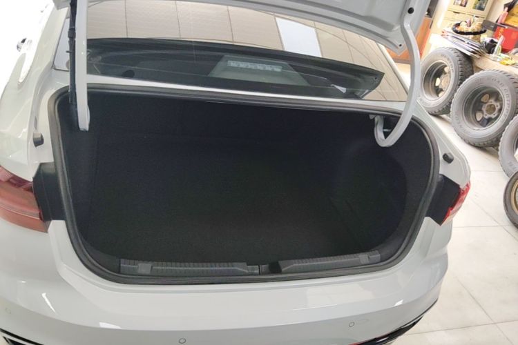 Volkswagen Lavida 2024 car image #19