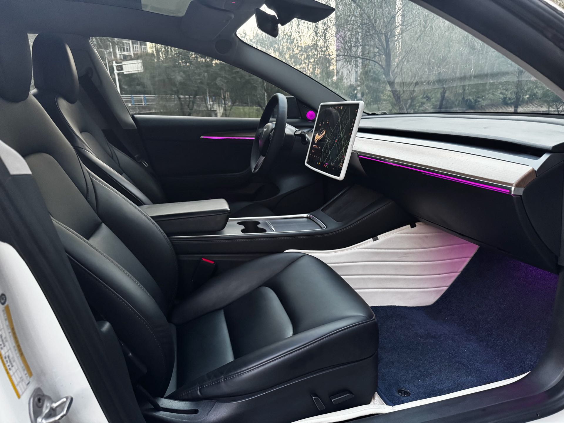 Tesla Model 3 2021 car image #12