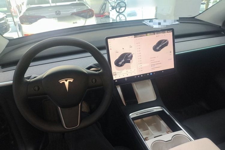 Tesla Model Y 2024 car image #10