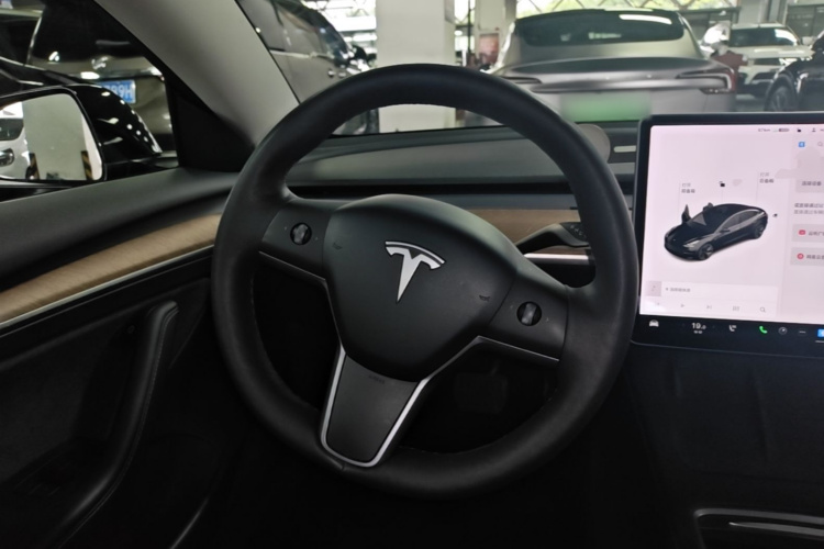 Tesla Model 3 2021 #15 Tesla Model 3 2021 car image #15