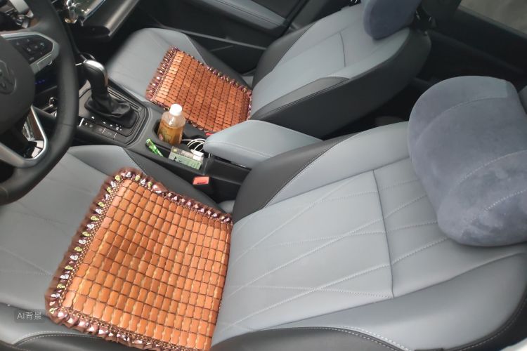 Volkswagen Lavida 2025 car image #17