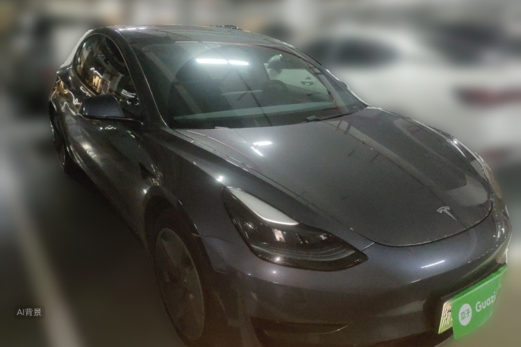 Tesla Model 3 2021 car image #4
