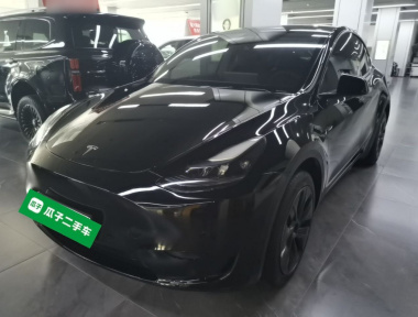 Tesla Model Y 2023 Tesla Model Y 2023 car image