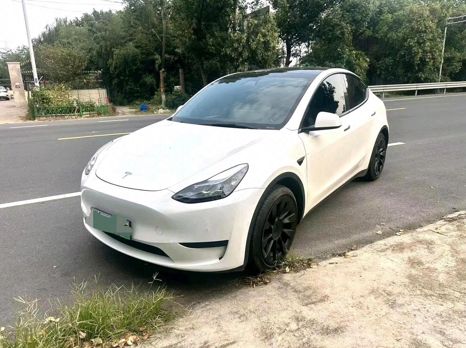 Tesla Model Y 2023 Tesla Model Y 2023 car image