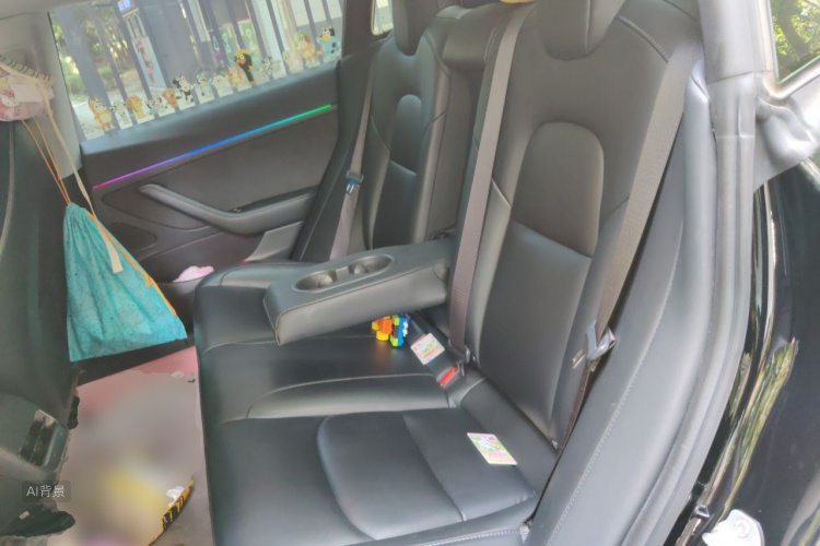 Tesla Model 3 2020 immagine di auto #19