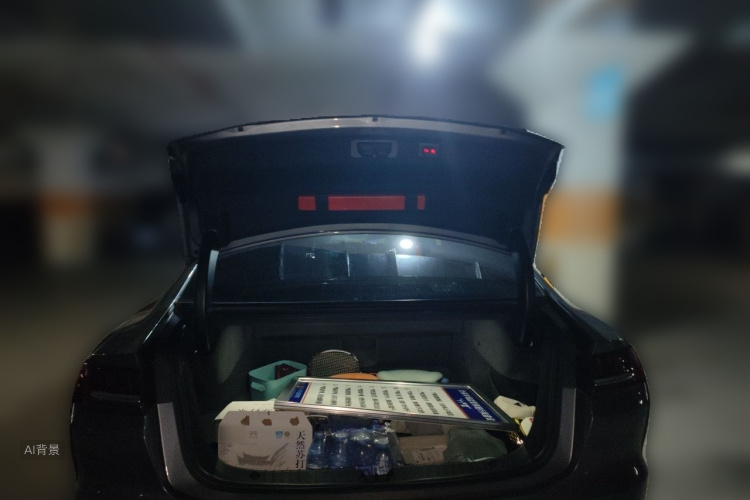 BYD Han 2021 car image #21