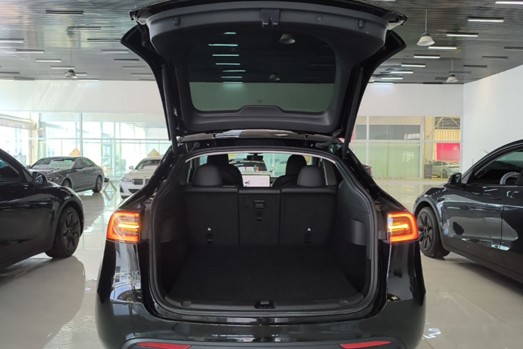 Tesla Model Y 2024 #19 Tesla Model Y 2024 car image #19