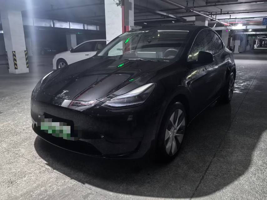 Tesla Model Y 2022 Tesla Model Y 2022 car image