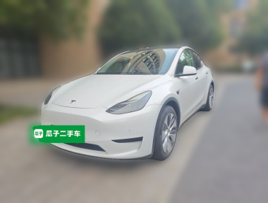 Tesla Model Y 2022 car image 