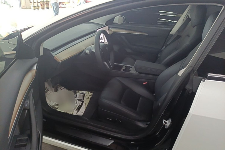 Tesla Model 3 2021 car image #16