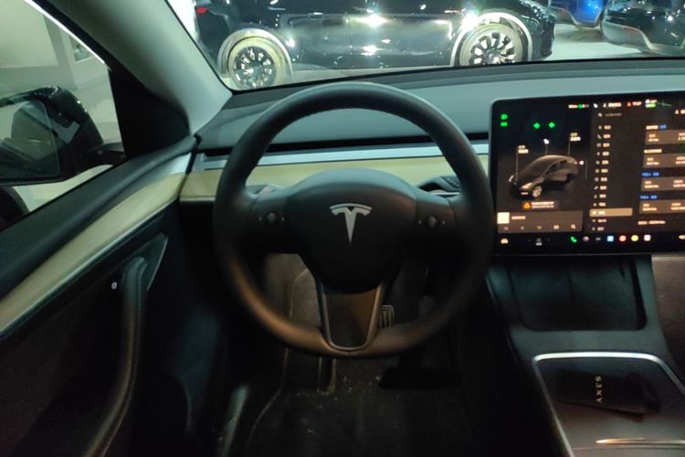 Tesla Model Y 2023 #15 Tesla Model Y 2023 car image #15