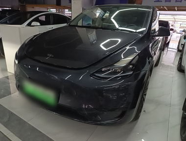 Tesla Model Y 2024 car image 