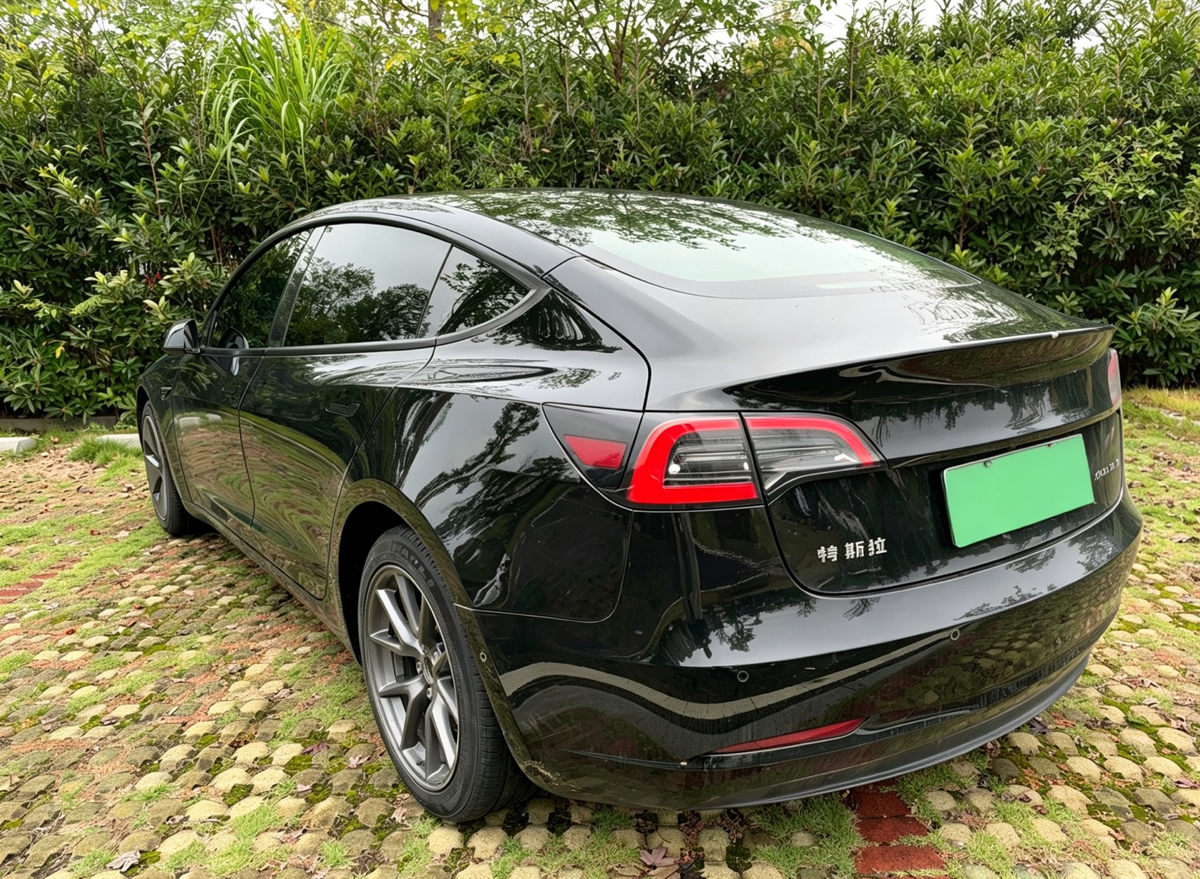 Tesla Model 3 2022 car image #4
