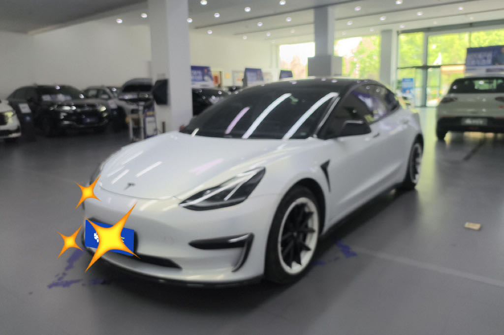 Tesla Model 3 2021 Tesla Model 3 2021 car image
