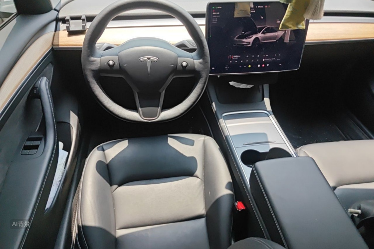 Tesla Model 3 2022 car image #12
