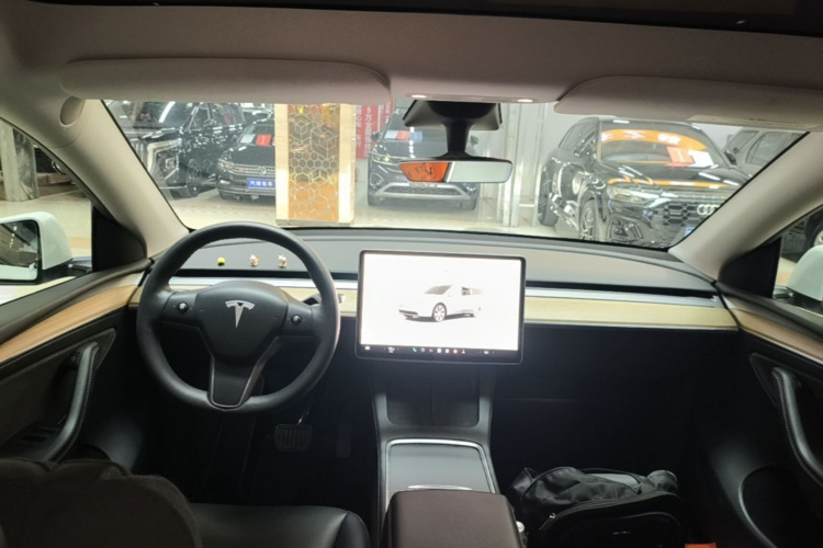 Tesla Model Y 2023 car image #10