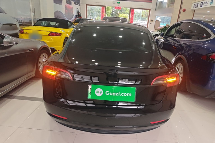 Tesla Model 3 2023 #4 Tesla Model 3 2023 car image #4