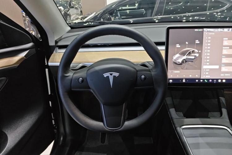 Tesla Model Y 2023 #11 Tesla Model Y 2023 car image #11