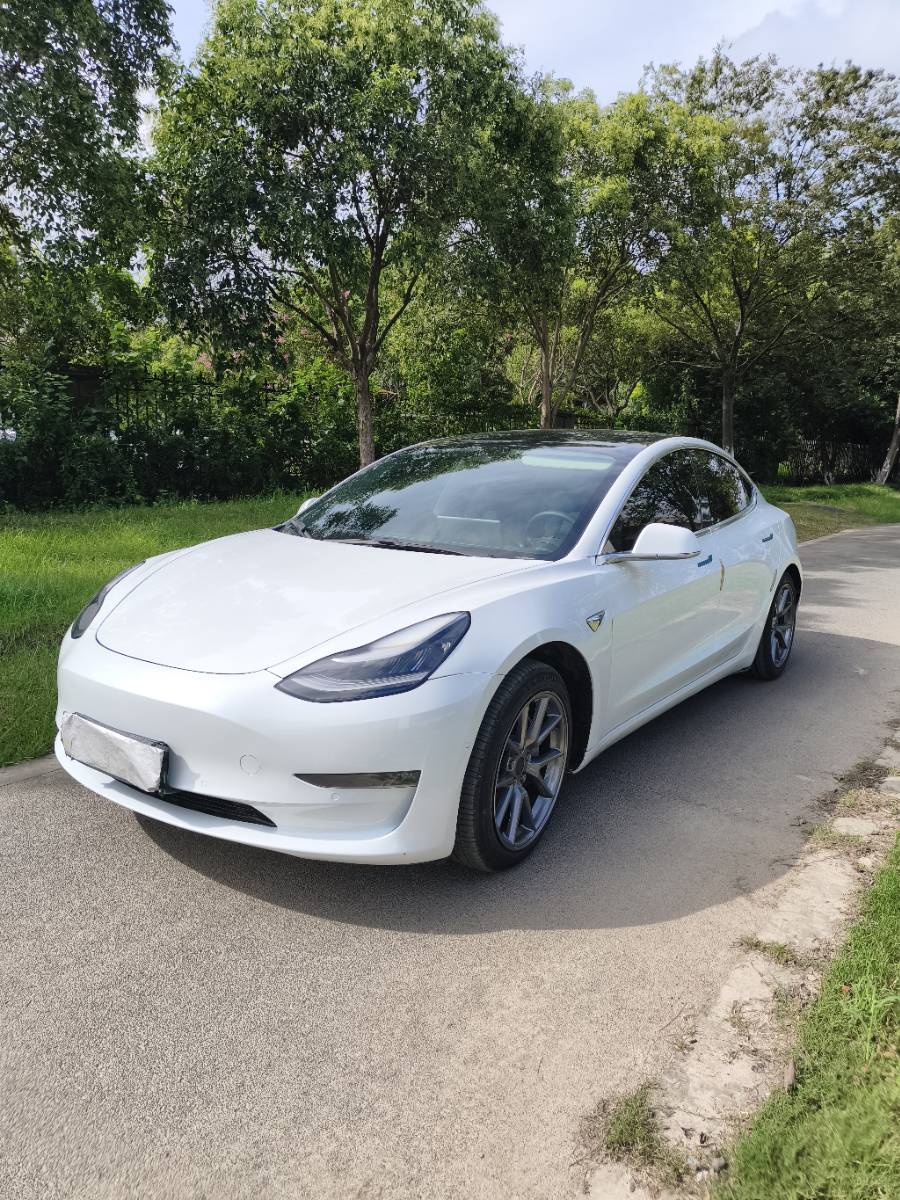 Tesla Model 3 2020 Tesla Model 3 2020 car image