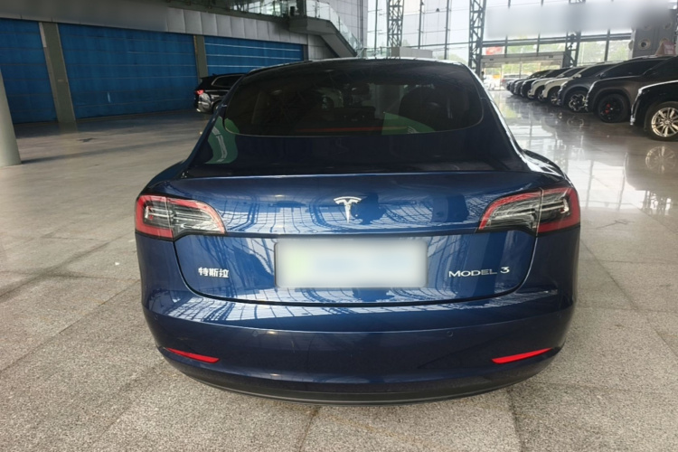 Tesla Model 3 2021 car image #6