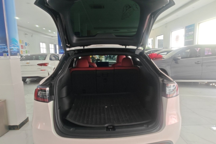 Tesla Model Y 2023 #19 Tesla Model Y 2023 car image #19