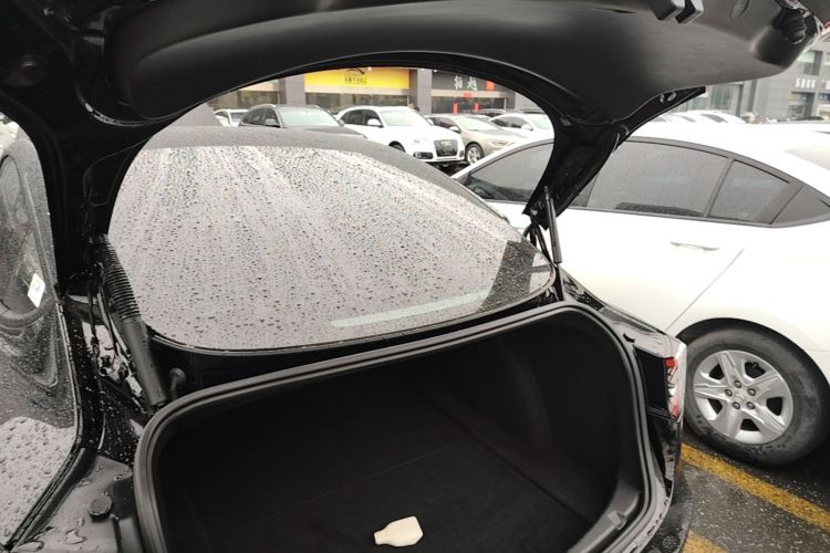 Tesla Model 3 2021 car image #21