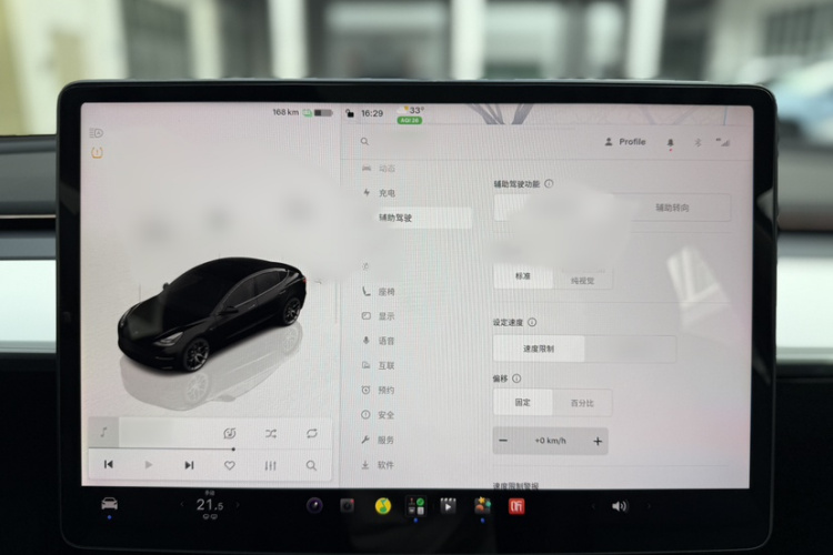 Tesla Model 3 2022 immagine di auto #16